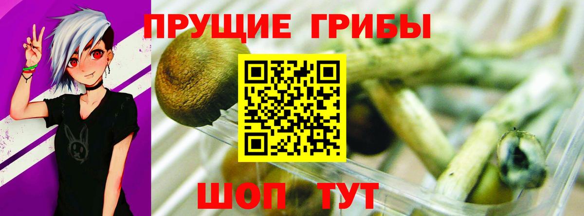Кохма  купить наркоту  Вход с VPN  Галлюциногенные грибы Cubensis  Галлюциногенные грибы мухоморы 